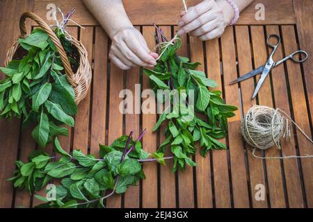 Weibliche Hände binden Bund Minze Kraut auf Holztisch. Frau Binding frisch geerntete Minze für Aromatherapie Stockfoto