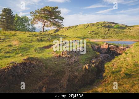 Englische Landschaft in Kelly Hall Tarn bei Coniston im Lake District, Cumbria, England. Stockfoto