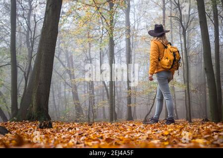 Frau mit Hut und Rucksack Wandern in Nebelwald. Abenteuer im Herbstwald. Weibliche Touristen suchen Nebel in der Natur Stockfoto