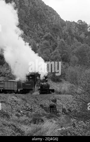 'Fiji' südlich von Bryn y Felin. Stockfoto