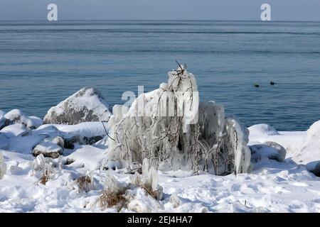 Eisige Landschaften im Winter am Hafen Stockfoto