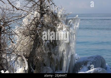 Eisige Landschaften im Winter am Hafen Stockfoto