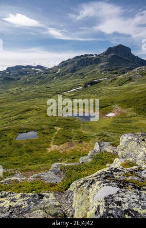 Tundra, karge Berglandschaft mit Berg Bitihorn, Oystre Slidre, Jotunheimen Nationalpark, Norwegen Stockfoto