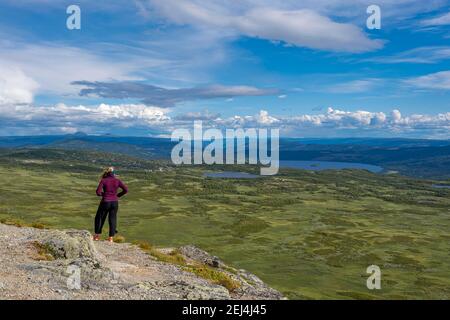 Wanderer mit Blick auf Tundra, Tundra, hügelige Landschaft mit Seen, Oystre Slidre, Jotunheimen National Park, Norwegen Stockfoto