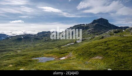 Tundra, karge Berglandschaft mit Berg Bitihorn, Oystre Slidre, Jotunheimen Nationalpark, Norwegen Stockfoto