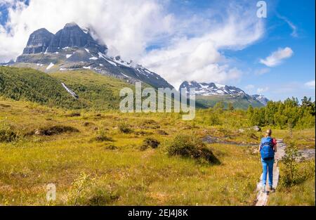 Wanderer auf einem Wanderweg zum Innerdalstarnet, Innerdalen Hochtal, Berge, Trollheimen Berggebiet, Sunndal, Mehr Og Romsda, Vestlandet Stockfoto