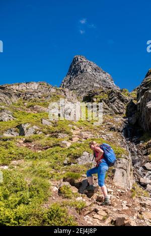 Wandern auf einem steilen Weg nach Innerdalstarnet, Innerdalen, Trollheimen, Sunndal, More Og Romsda, Vestlandet, Norwegen Stockfoto