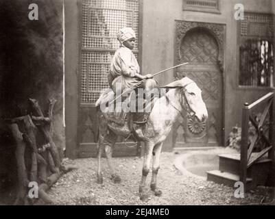 Ägyptischer Junge auf einem Esel, Ägypten, c,1890 Stockfoto