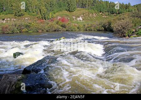 Der Bergfluss fließt über die Felsen sprudelnd und schäumend. Stockfoto