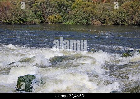 Der Bergfluss fließt über die Felsen sprudelnd und schäumend. Stockfoto