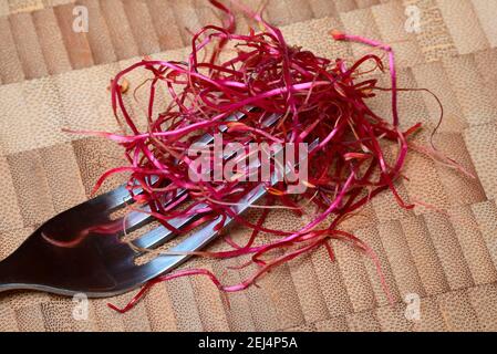 Rosenkohl (Beta vulgaris) , Rosenkohl Stockfoto