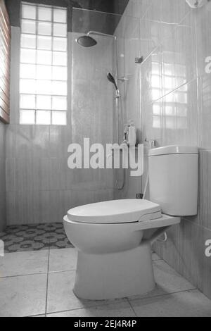 Schön eingerichtetes Badezimmer mit WC-Sitz und Trennglas Für Dusche Badezimmer Stockfoto