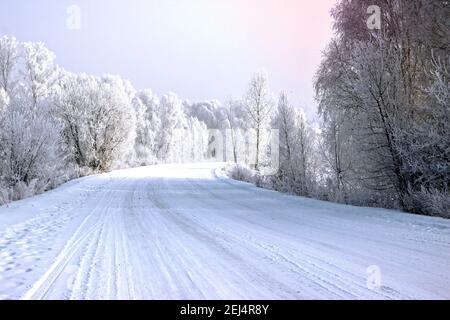Winterlandschaft in Silbertönen. Die breite schneebedeckte Straße wendet sich nach rechts und Bäume in Silber gekleidet an beiden Rändern der Straße. Stockfoto