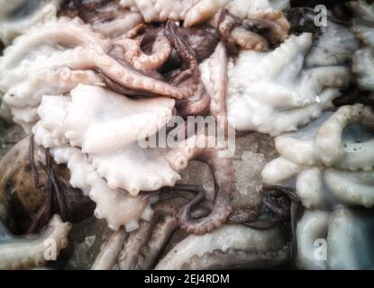 Tintenfisch in offenen seamarket, Napoli Stockfoto