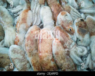 Tintenfisch in offenen seamarket, Napoli Stockfoto