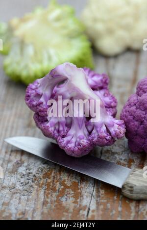 Lila Blumenkohl ( Brassica oleracea var. botrytis) mit Messer Stockfoto