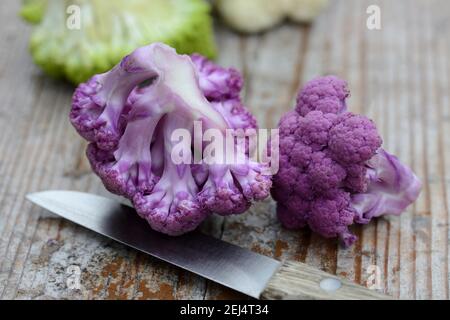 Lila Blumenkohl ( Brassica oleracea var. botrytis) mit Messer Stockfoto