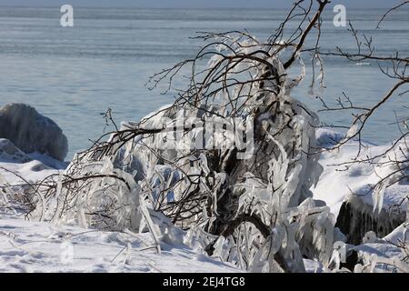 Eisige Landschaften im Winter am Hafen Stockfoto