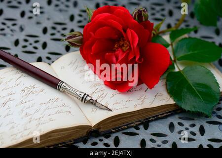 Stifthalter auf Buch mit alter Schrift, rote Rose, Handschrift