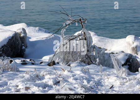 Eisige Landschaften im Winter am Hafen Stockfoto