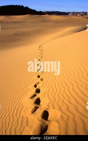 Fußabdrücke in der Sahara Wüste Stockfoto