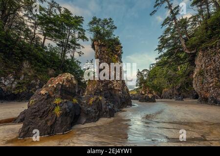 San Josef Bay auf Vancouver Island, British Columbia, stapelt sich bei Ebbe. Stockfoto