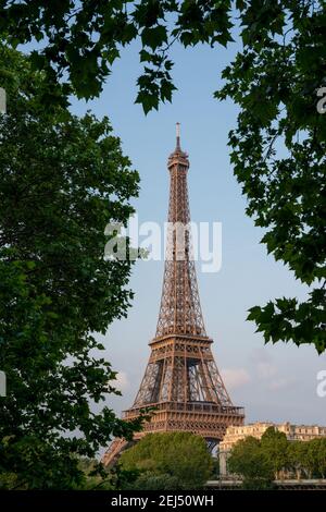 Eiffelturm, Paris, Frankreich. Ikonisches schmiedeeisernes Wahrzeichen, das über dem Champ de Mars im Herzen der französischen Hauptstadt aufragt. Stockfoto