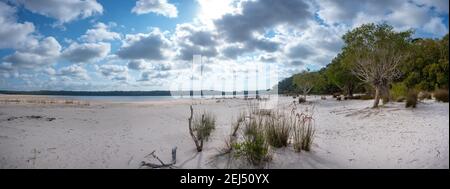 Weißer Strand auf Fraser Island Great Sandy National Park Stockfoto