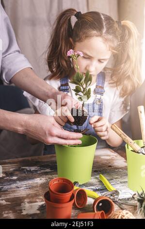 Kleine schöne kaukasische Mädchen hilft ihrer Mutter mit Home gardening.family Pflanzen Blumen in Töpfen. Frühling Aktivitäten. Vorderansicht. Stockfoto