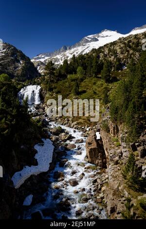 Plan und Forau d'Aigualluts (Wiese und Wasserfall) unter dem Aneto-Gipfel im Sommer (Benasque, Pyrenäen, Spanien) Stockfoto