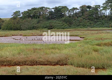 Der braune, gewundene Fluss Otter fließt durch die Hochwasserebene und das Naturschutzgebiet in Budleigh Salterton, Devon, bevor er ins Meer eindringt. Stockfoto