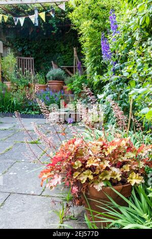 Heuchera (Korallenglocken), Delphinien und andere mehrjährige Blumen in einem Londoner Patio-Garten, Großbritannien Stockfoto