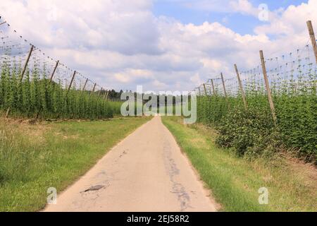 Impressionen aus Bad Gögging in Niederbayern Stockfoto