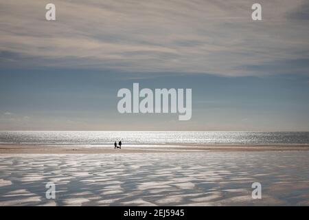 Strand bei Freshwater West, Pembrokeshire Stockfoto