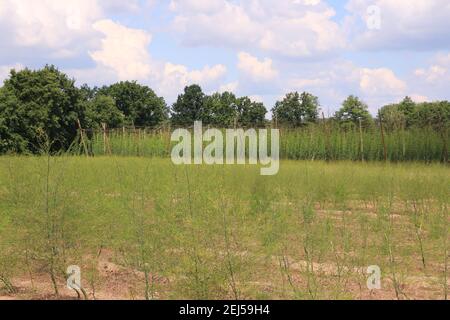 Impressionen aus Bad Gögging in Niederbayern Stockfoto