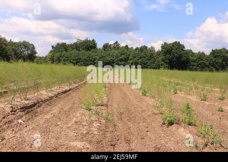 Impressionen aus Bad Gögging in Niederbayern Stockfoto