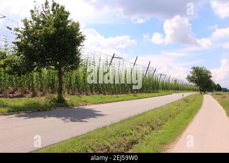 Impressionen aus Bad Gögging in Niederbayern Stockfoto