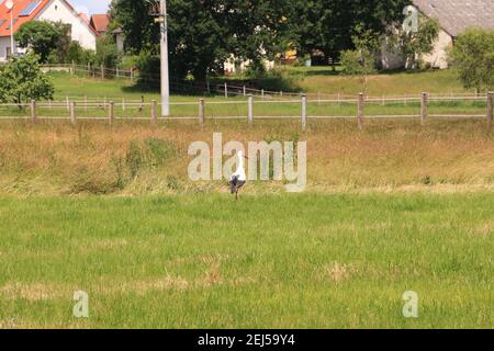 Impressionen aus Bad Gögging in Niederbayern Stockfoto