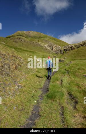 Aufstieg zum Lac de Montoliu. Im Hintergrund der Gipfel von Maubèrme (Aran-Tal, Katalonien, Spanien) Stockfoto