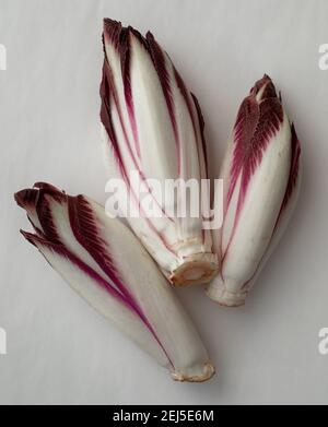 Frische rote Zichorie auf weißem Hintergrund Stockfoto