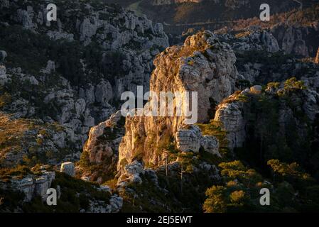 Morgenaussicht vom Gipfel des Mont Caro (höchster Gipfel der Provinz Tarragona und Naturpark Els Ports, Katalonien, Spanien) Stockfoto