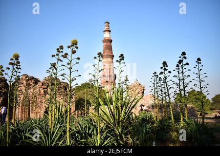 Qutb Minar, Mehrauli, Neu-Delhi, Indien Stockfoto