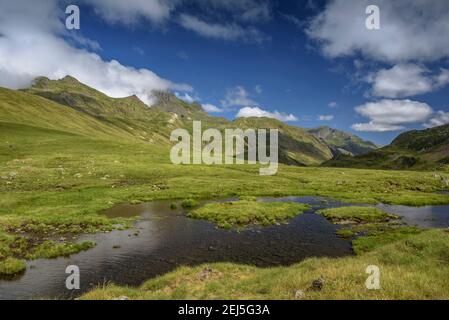 Umgebung von Lac Long de Liat. Im Hintergrund der Gipfel von Maubèrme (Aran Valley, Cataloina, Spanien) Stockfoto