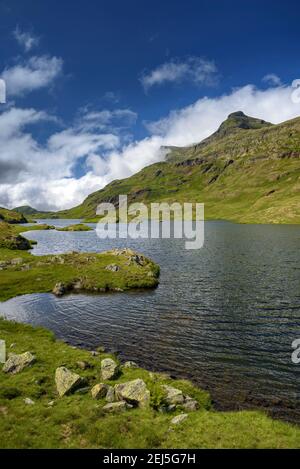 Umgebung des Lac Long de Liat (Aran-Tal, Katalonien, Spanien) ESP: Entornos del Lac Long de Liat (Valle de Arán, Cataluña, España) Stockfoto