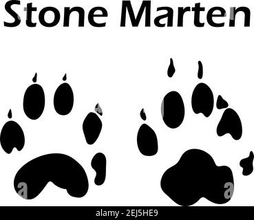 Steinmarder Platzbedarf. Schwarze Silhouette Design. Vector Illustration. Stock Vektor