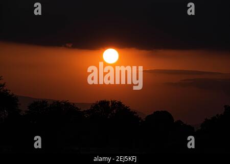 Schattenbäume unter Sonnenuntergang in Masai Mara, Kenia Stockfoto
