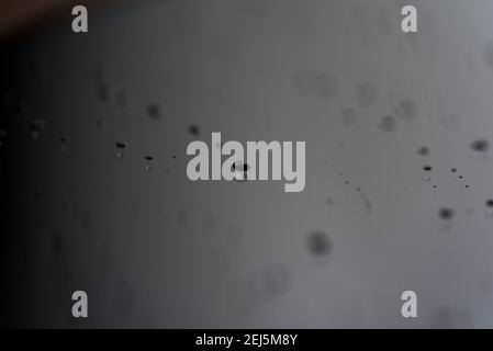 Smartphone-Bildschirm mit gehärtetem Glas zum Schutz vor Kratzern. Wassertropfen auf dem Bildschirm. Reinigen des Touchscreens. Stockfoto