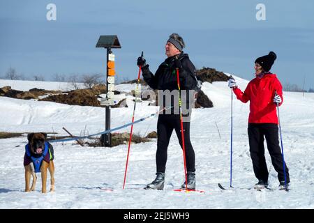 Senioren Mann Frau und Hund auf Winterreise, gesunde Lebensweise Langlaufen Stockfoto