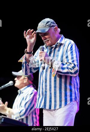 Tim Love of the Beach Boys tritt im Rahmen des Hampton Court Festivals 2018, Hampton Court Palace - London, live auf der Bühne auf. Bilddatum: Freitag, 15th. Juni 2018. Bildnachweis sollte lauten: David Jensen Stockfoto