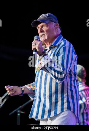 Tim Love of the Beach Boys tritt im Rahmen des Hampton Court Festivals 2018, Hampton Court Palace - London, live auf der Bühne auf. Bilddatum: Freitag, 15th. Juni 2018. Bildnachweis sollte lauten: David Jensen Stockfoto